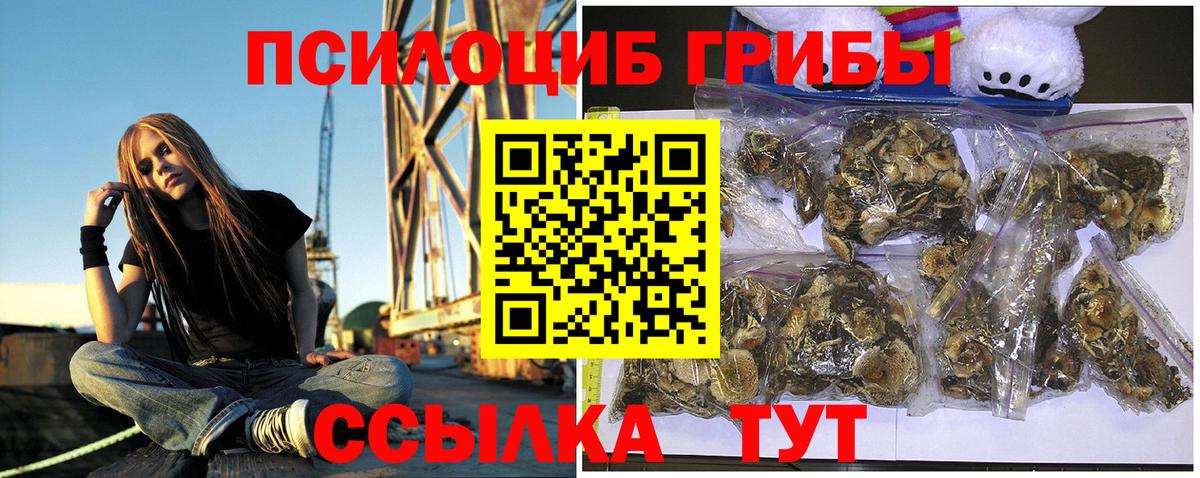 Псилоцибиновые грибы прущие грибы Великие Луки
