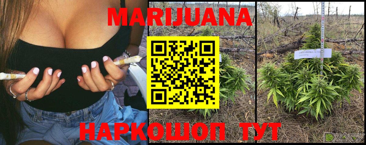 Конопля планчик Великие Луки